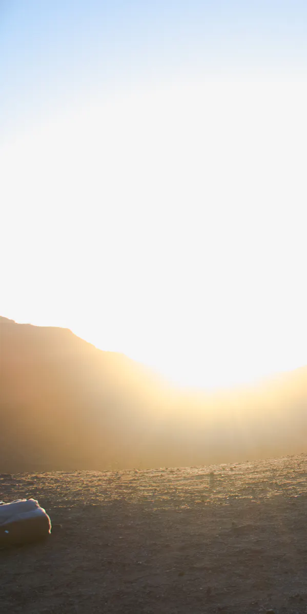 GROW with SAP vs. RISE with SAP