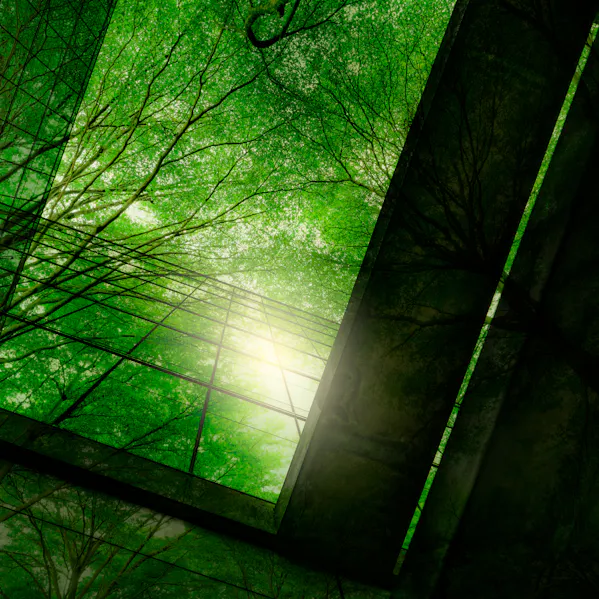 sustainability_1_1920x540