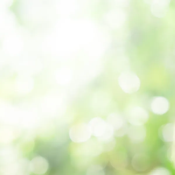 sustainability_6_1920x540
