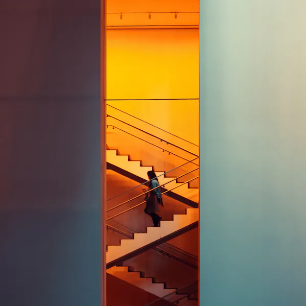 transformation_19_1920x540