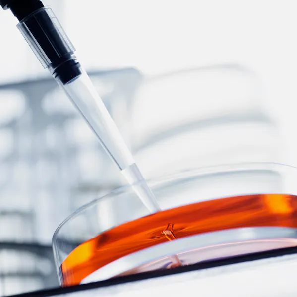 Industry Life Sciences