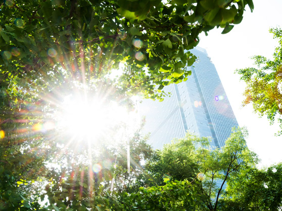 558x419_blogbeitrag_sustainability2