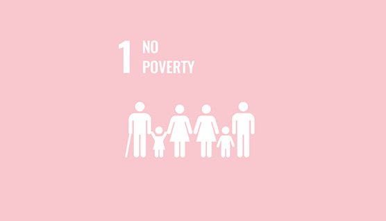 sdg_kachel_258x158_1