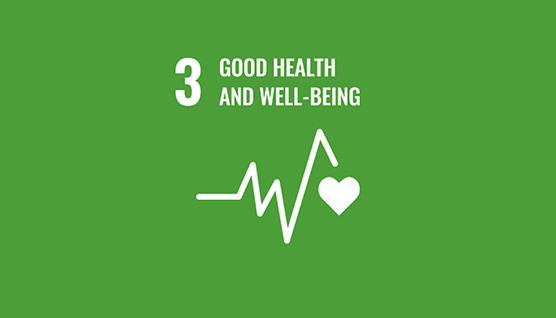 sdg_kachel_258x158_3