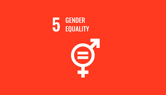 sdg_kachel_258x158_5