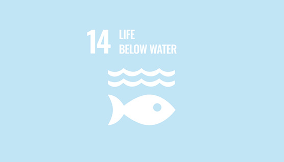 sdg_kachel_258x158_14_