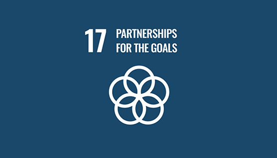 sdg_kachel_258x158_17