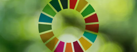 558x419_sdg1