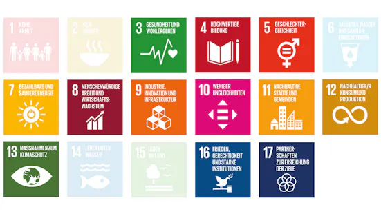 899x506_sdg_overview