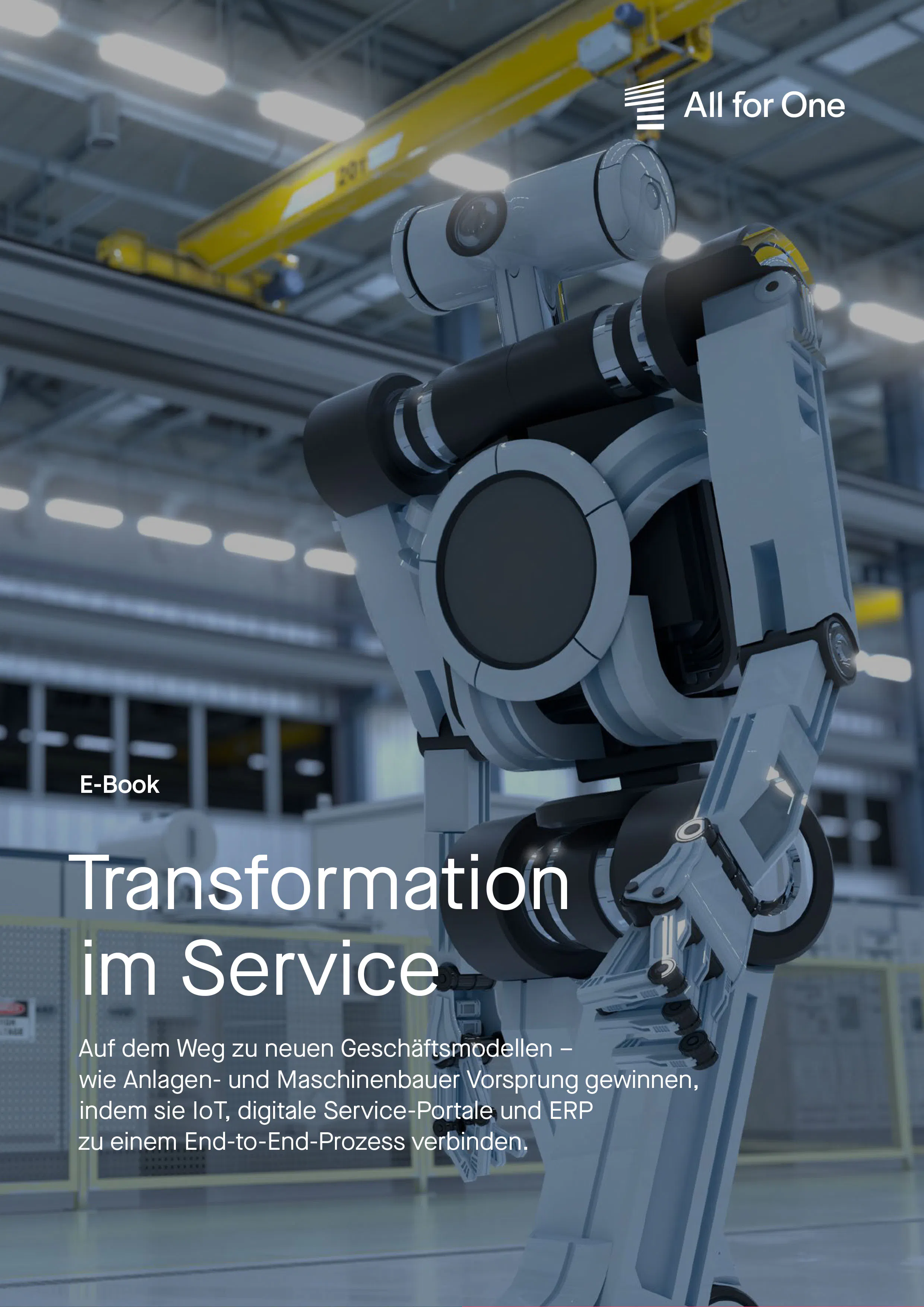 E-Book Transformation im Service