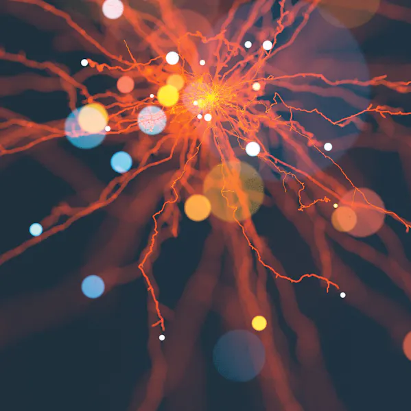 afog_120919_1920x540