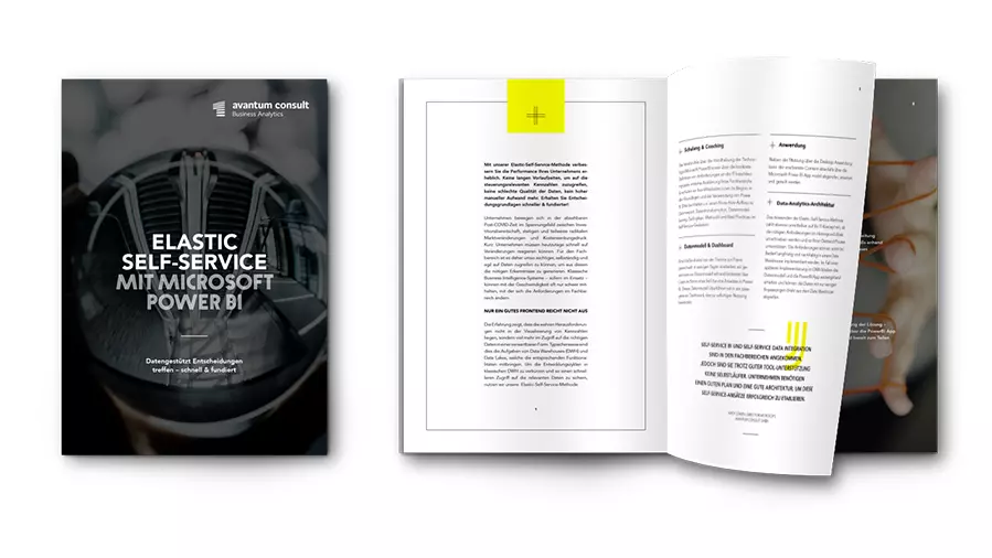 Mockup-Elastic-Self-Service-mit-Power-BI