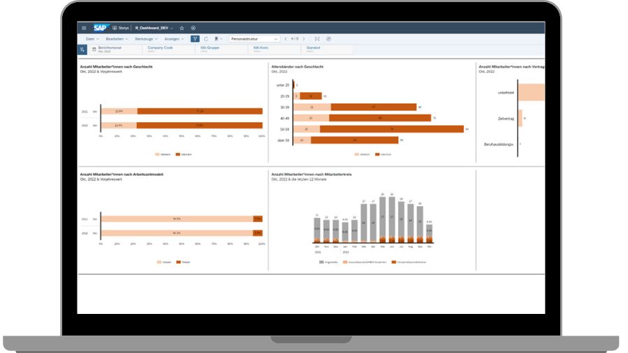 Personalstruktur-Dashboard