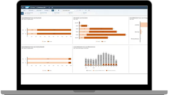 Personalstruktur-Dashboard