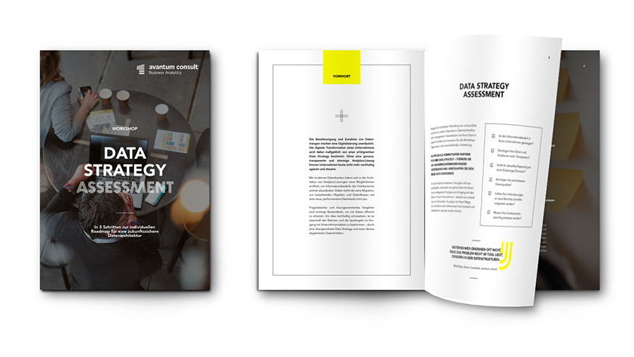 Data-Strategy-Assessment-Whitepaper