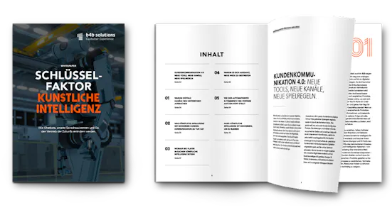 mockup_wp_ki_899x506