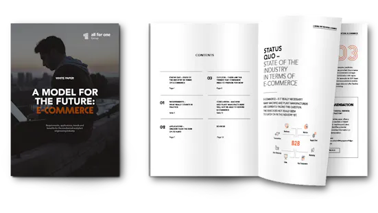 ecommerce_1116x628_EN