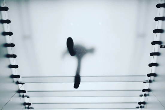 EmployeeXpericence_12_558x314