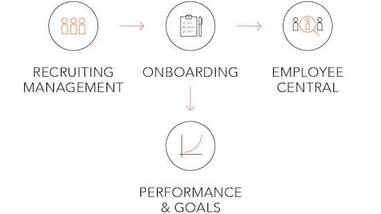 empleox_grafikenonboarding2_899x506px