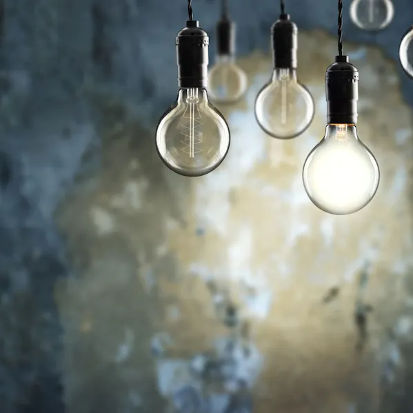 Glühlampen vor einer Wand | SAP HCM Support