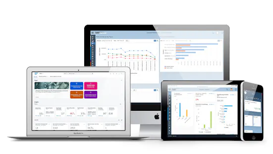 SAP Cloud ERP