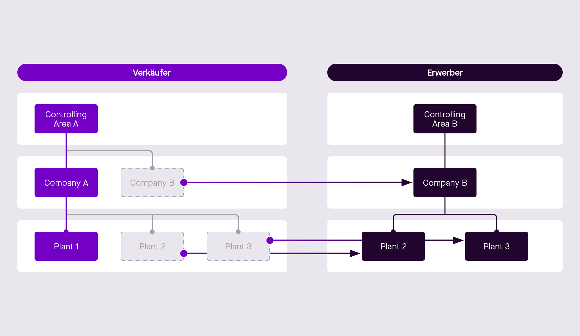 SAP Carve out Share Deal