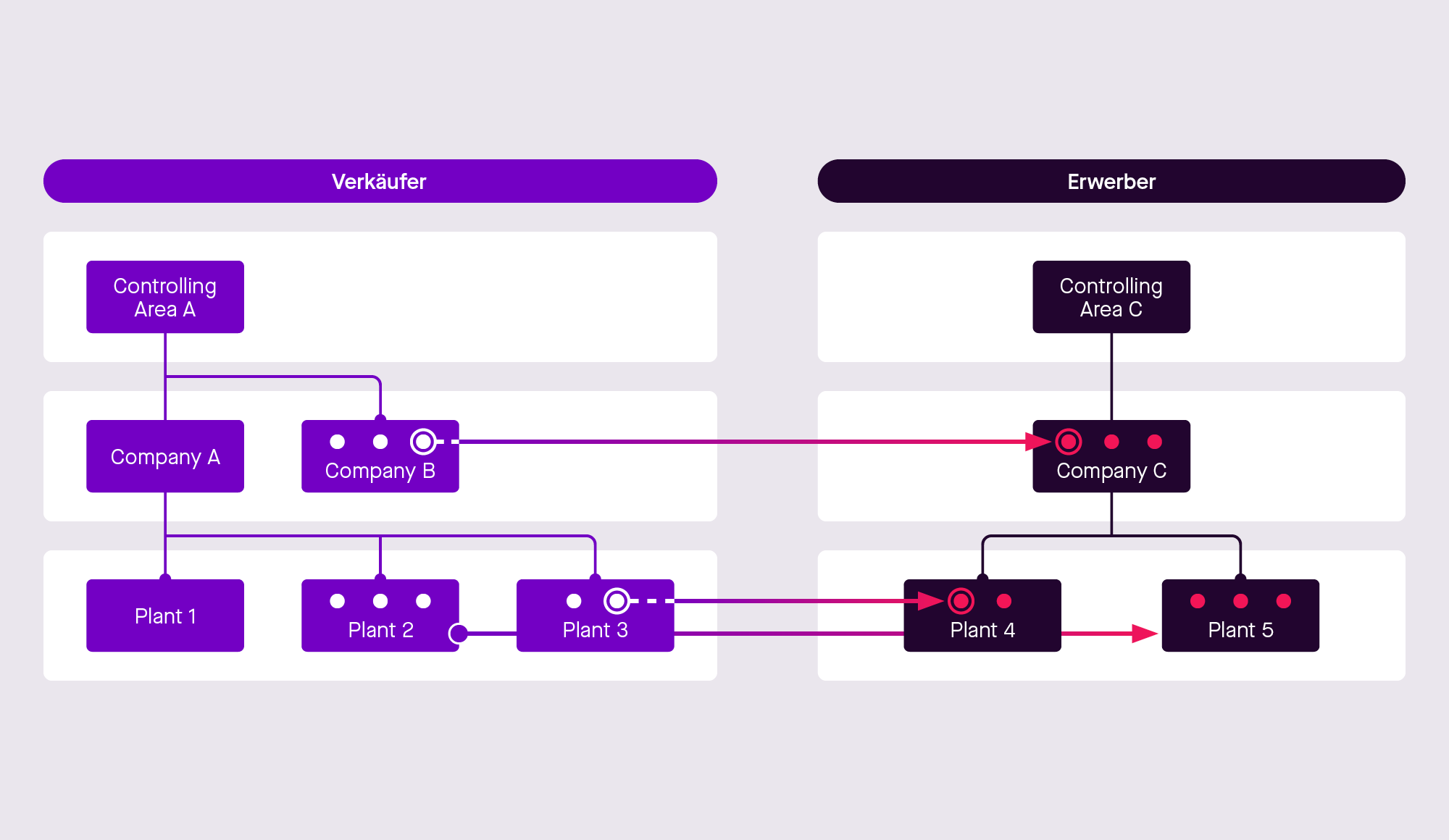SAP Carve-out Asset Deal