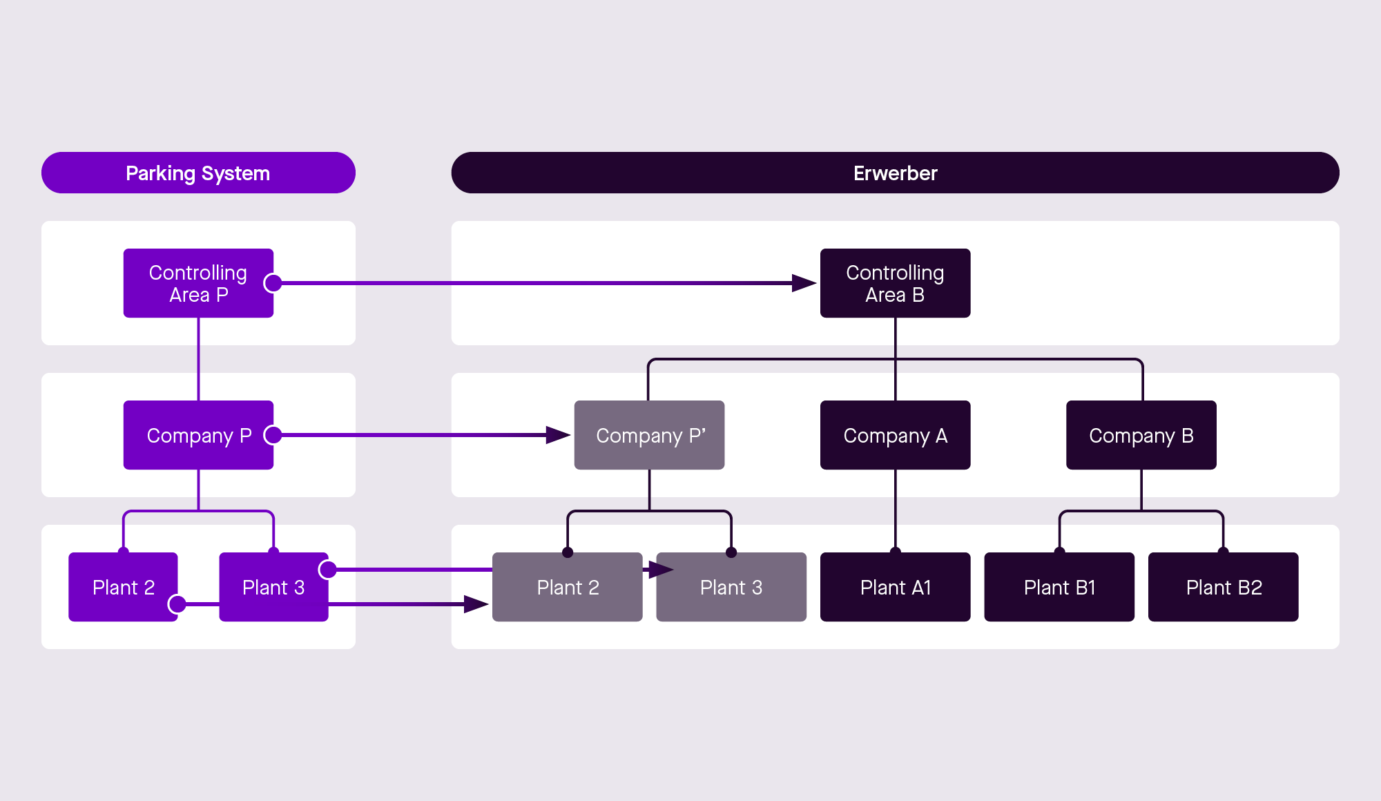 SAP Carve-in Rollout