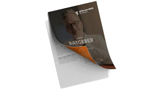 All41_Ratgeber_Digitalisierung (2)
