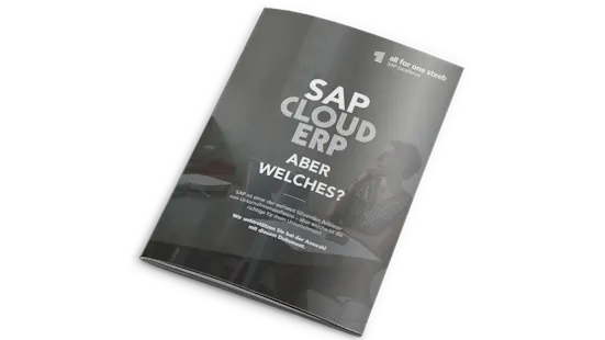 ERP-Checkliste
