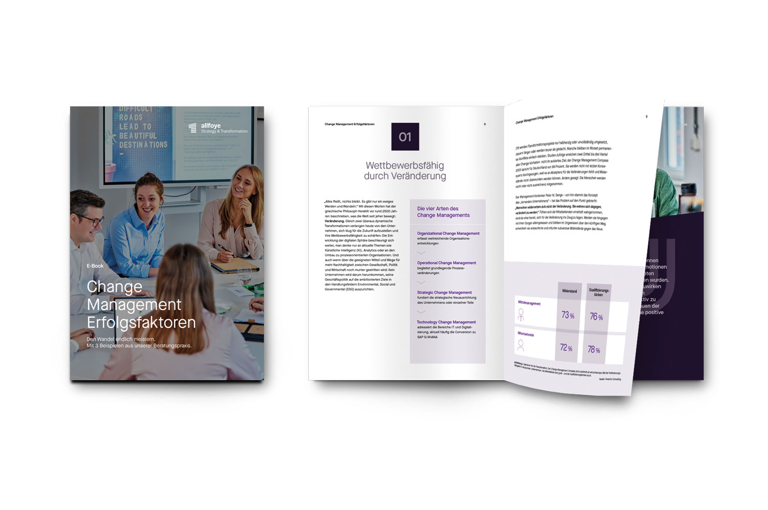 E-Book 'Change Management Erfolgsfaktoren'